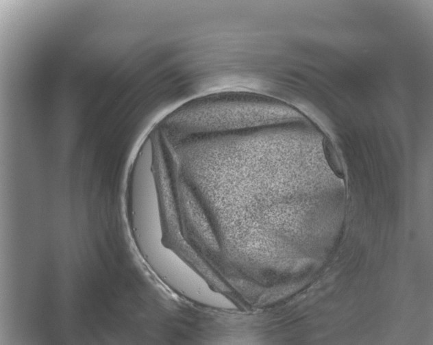 X0000056381104200509161915
