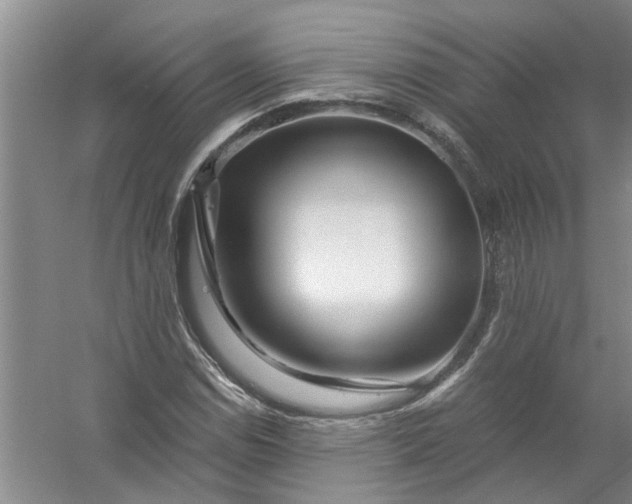 X0000056381114200509161914