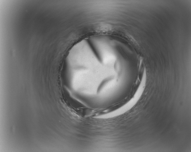 X0000056381153200509161914