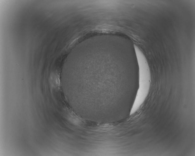 X0000056381155200509161914