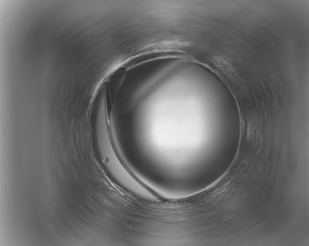 X0000056381164200509161913