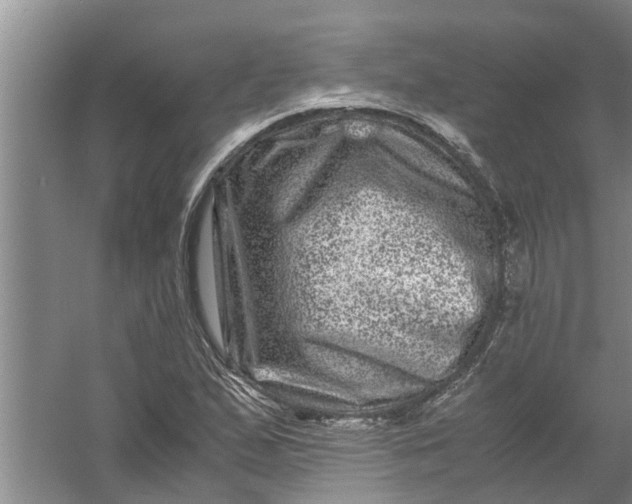 X0000056381167200509161913