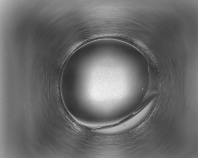 X0000056381177200509161913