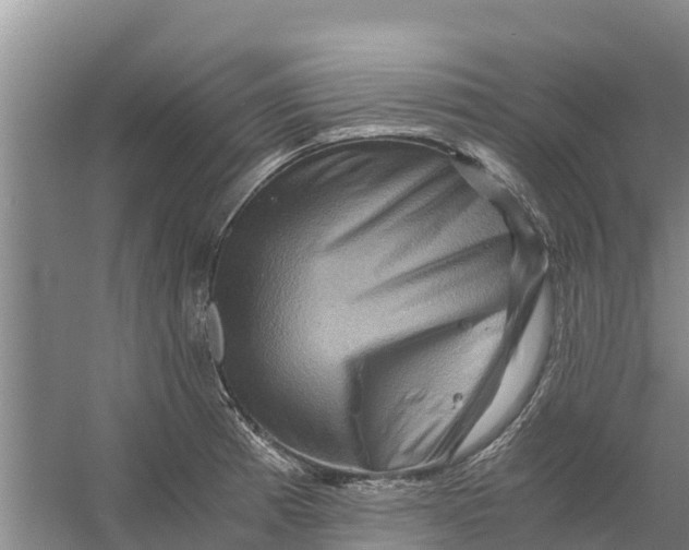 X0000056381185200509161913