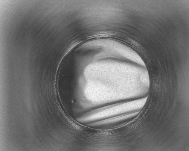 X0000056381186200509161913