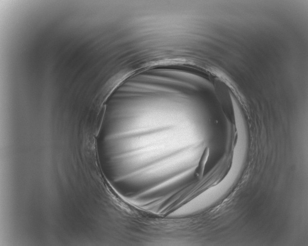 X0000056381193200509161913