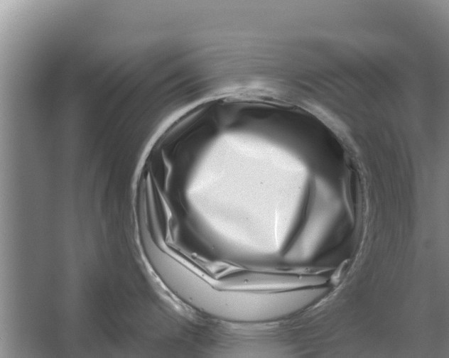X0000056381200200509161913