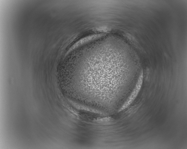 X0000056381201200509161912