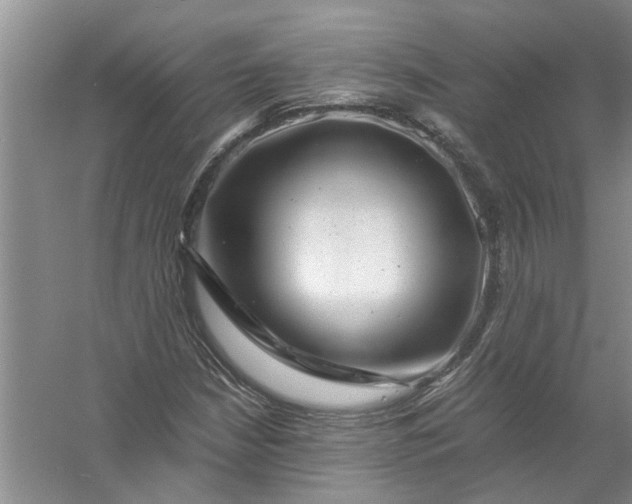 X0000056381210200509161912