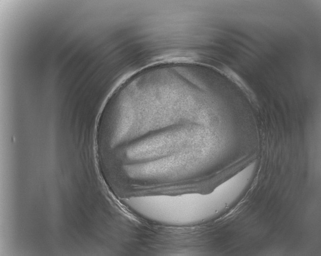 X0000056381240200509161913