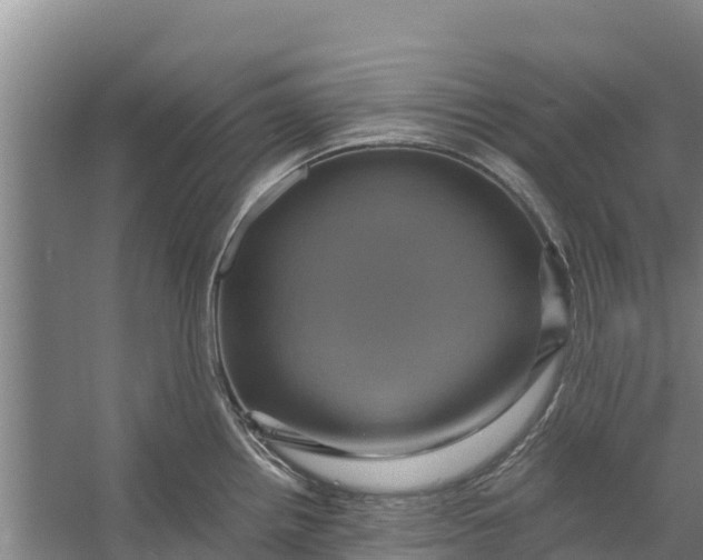 X0000056381242200509161913