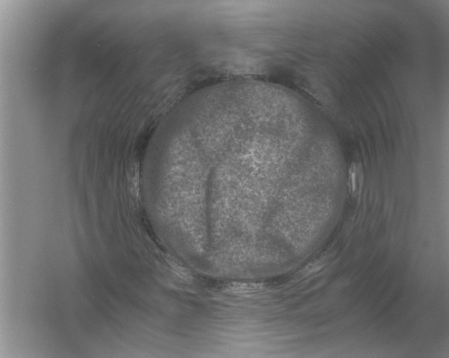 X0000056381251200509161912