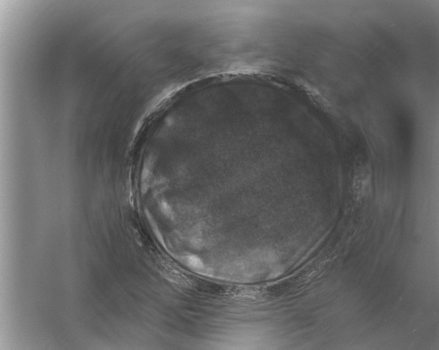 X0000056381262200509161912