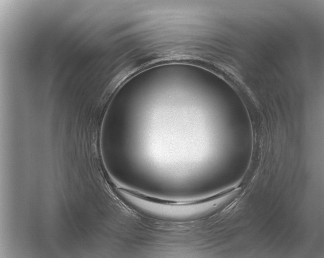 X0000056381273200509161912
