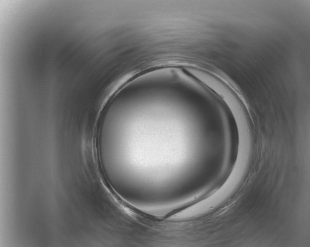 X0000056381293200509161911