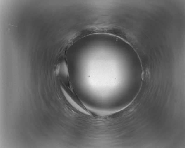 X0000056381300200509161910