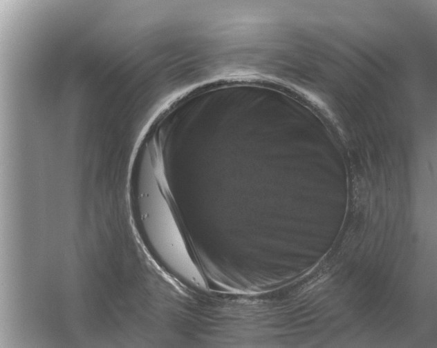 X0000056381327200509161911