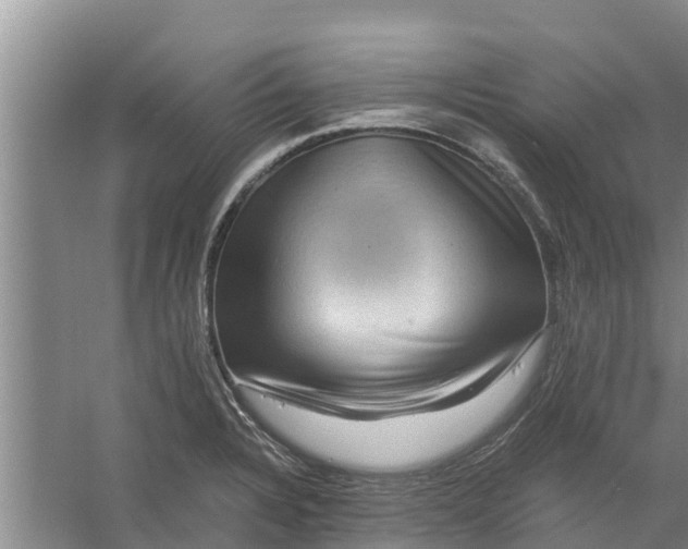 X0000056381328200509161911