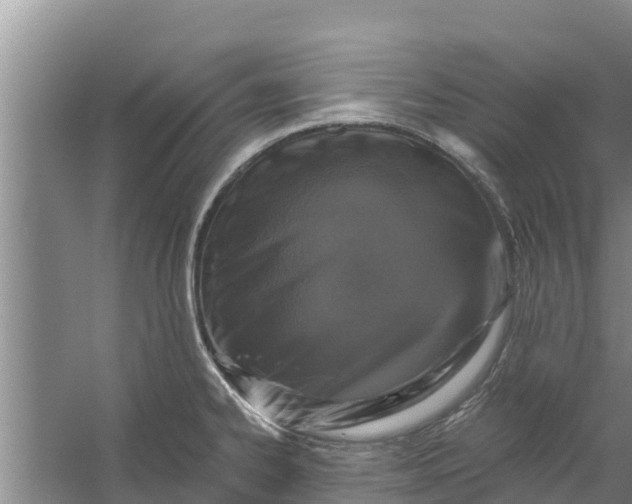 X0000056381334200509161911