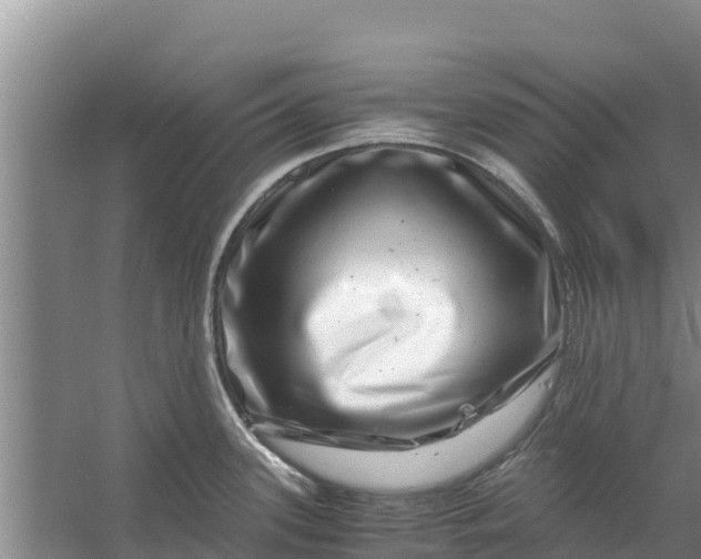 X0000056381339200509161911