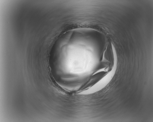 X0000056381345200509161910