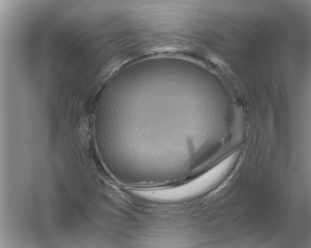 X0000056381353200509161910