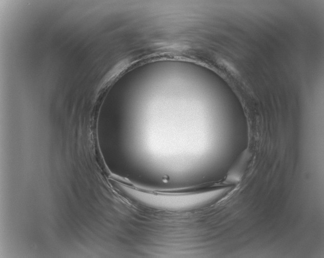X0000056381354200509161910