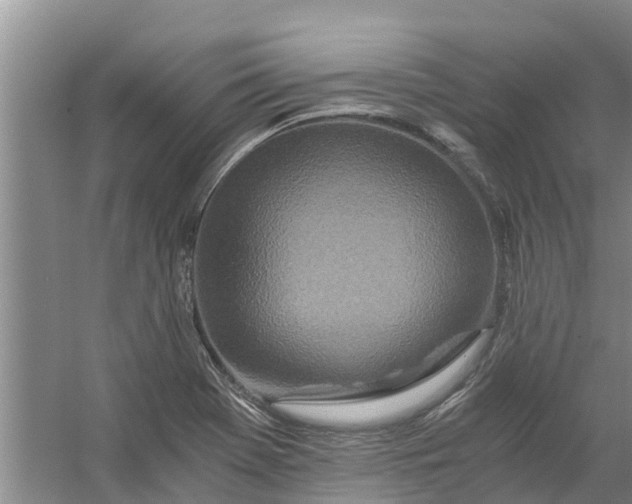 X0000056381369200509161910