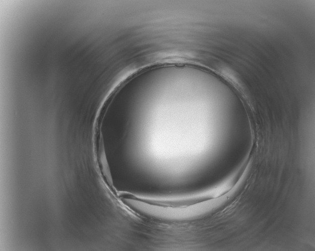 X0000056381384200509161910