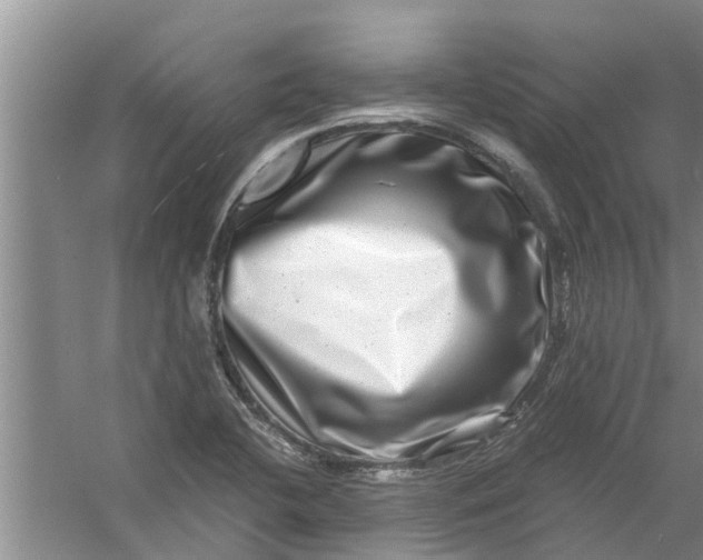 X0000056381412200509161909