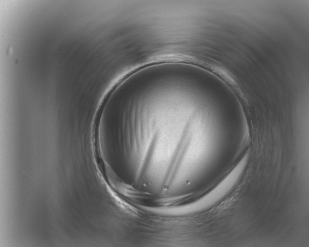 X0000056381430200509161909