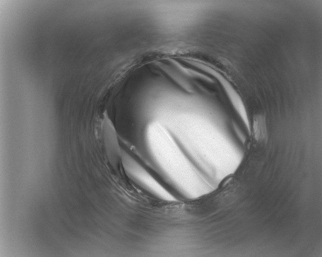 X0000056381444200509161909