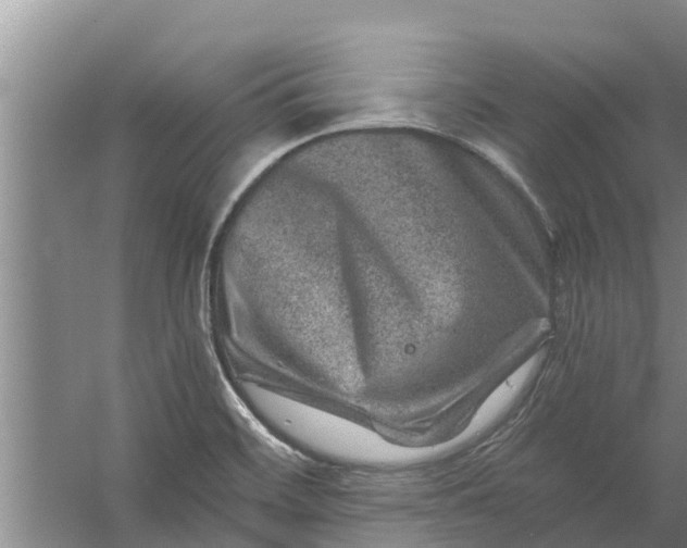 X0000056381468200509161908