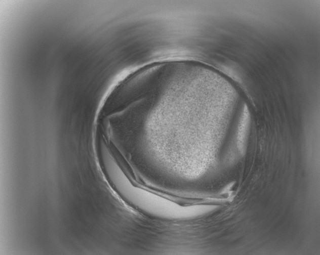 X0000056381472200509161908