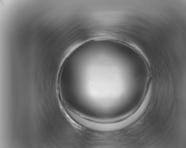X0000056381485200509161908