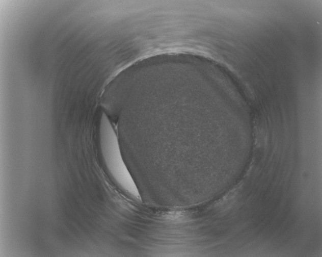 X0000056381497200509161907