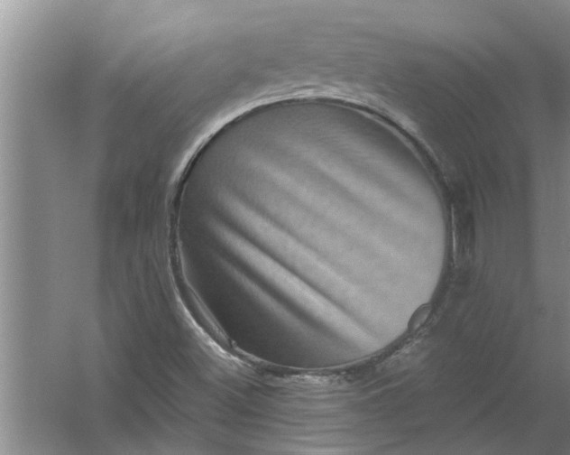 X0000056381500200509161907