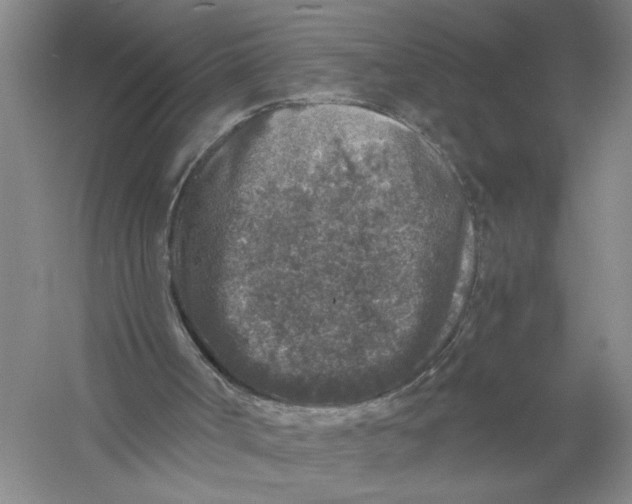 X0000056380002200509232237