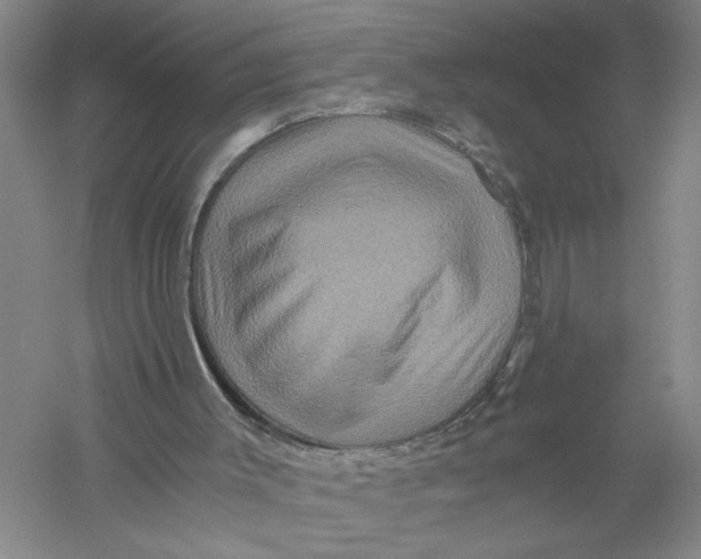 X0000056380003200509232237