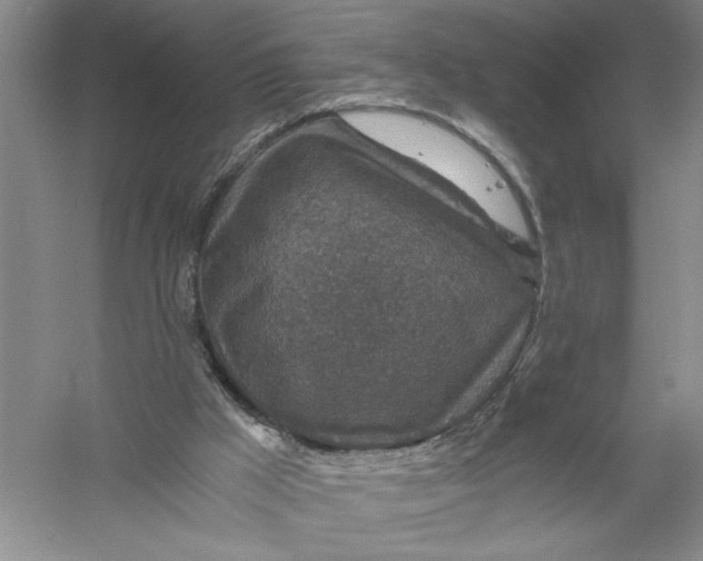 X0000056380009200509232237