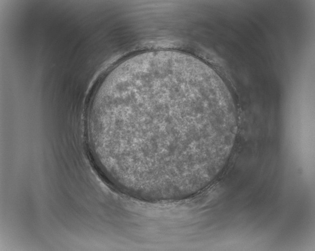 X0000056380012200509232237