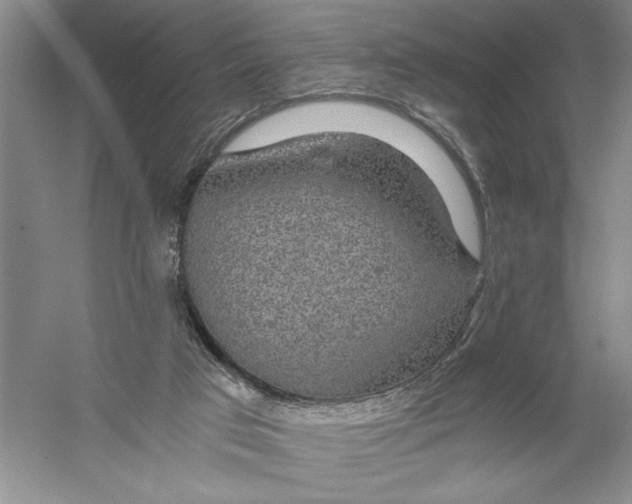 X0000056380017200509232236