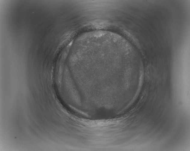 X0000056380018200509232236