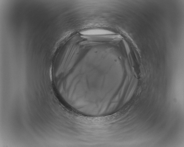 X0000056380019200509232236