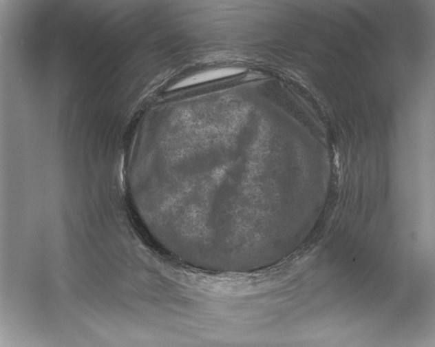 X0000056380024200509232236