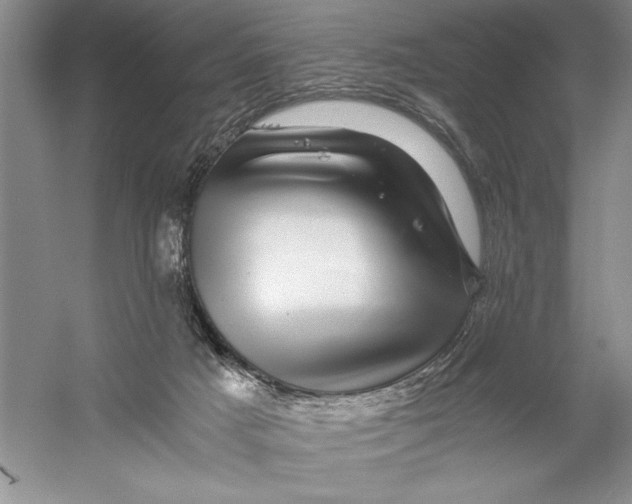 X0000056380025200509232236