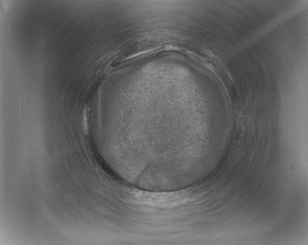 X0000056380026200509232236