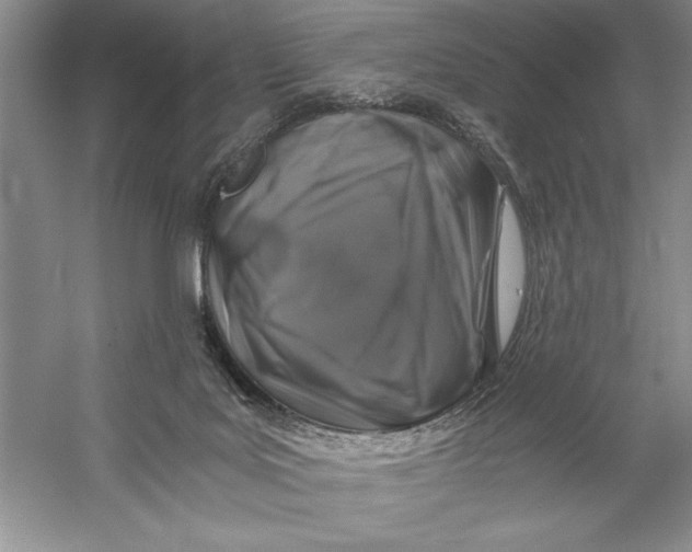 X0000056380027200509232236