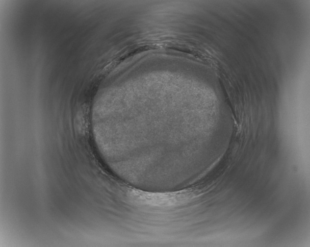 X0000056380030200509232236