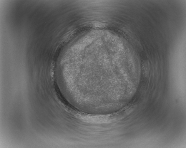 X0000056380032200509232236